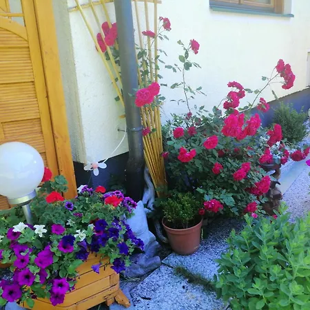 Marianne Appartement